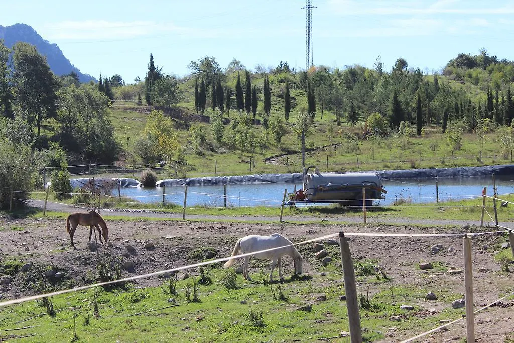 Hotel El Jou Nature Sant Corneli