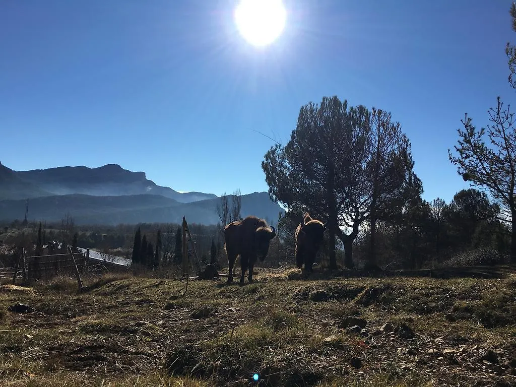 El Jou Nature Sant Corneli Hotel