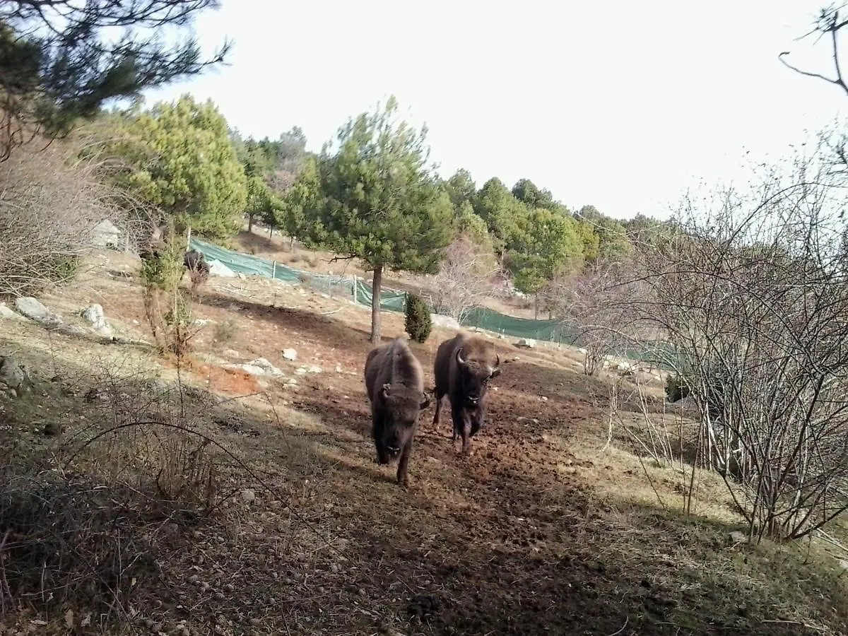 El Jou Nature Sant Corneli 3*,